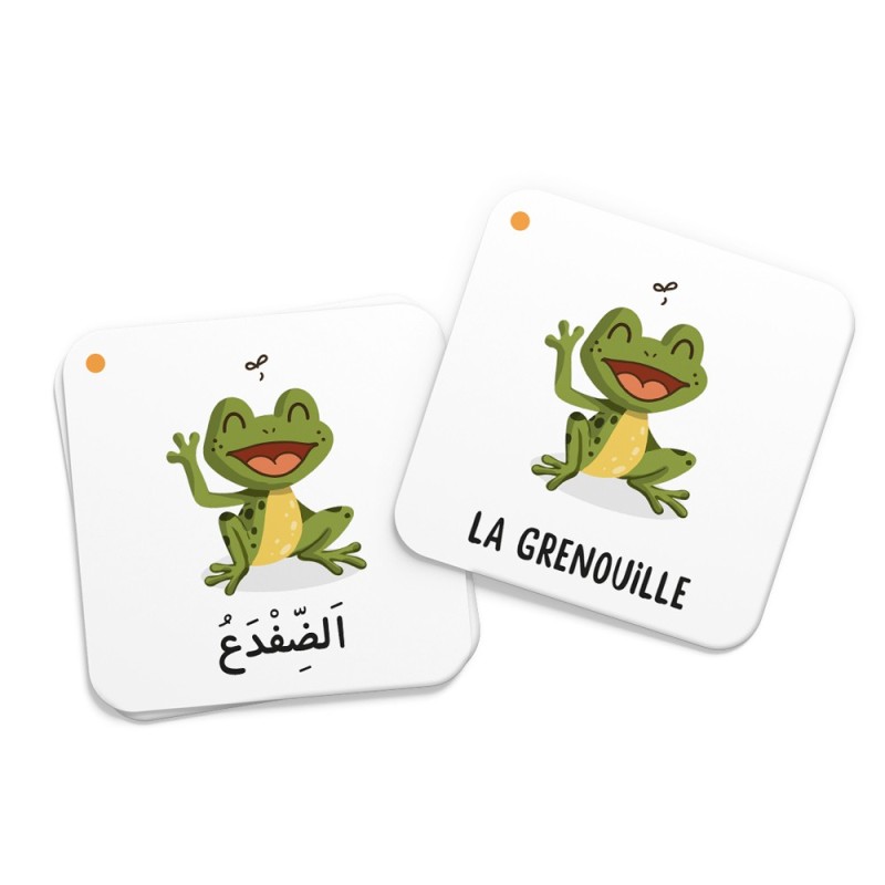 Mémo des animaux du Coran - Editions DeeniLearn