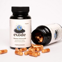 Gélules de nigelle - 30 gélules - Exode