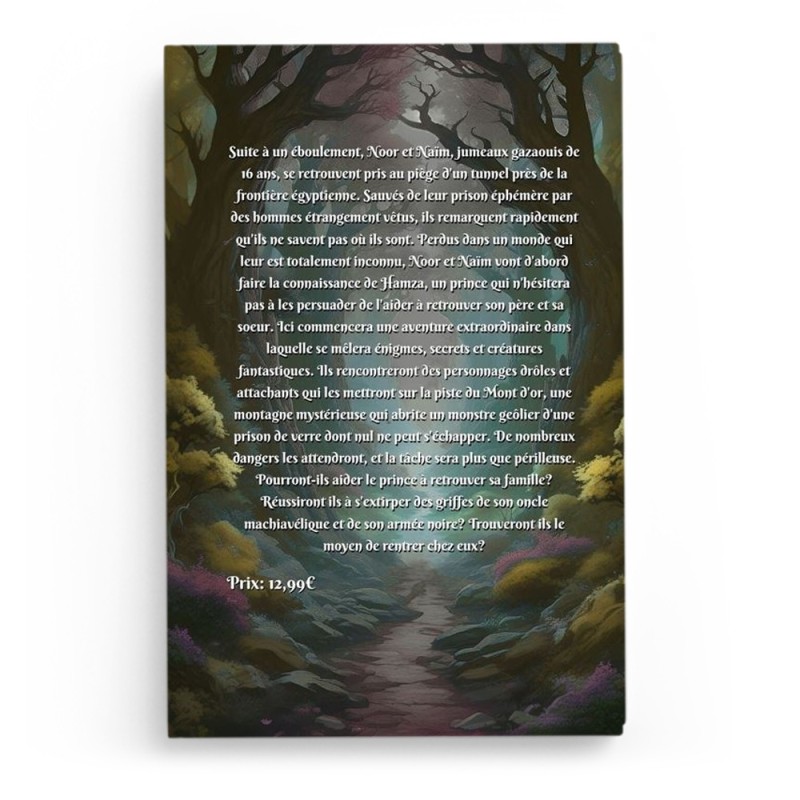 Noor et Naïm à la quête du Mont d'Or - Tome 1 - Hayate Haïfi