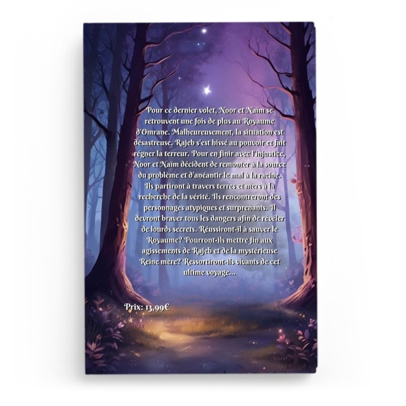 Noor et Naïm et le coffre aux secrets - Tome 3 - Hayate Haïfi