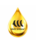 Wadi Shibam